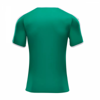 2018 World Cup Senegal Away Green Soccer Jersey Shirt