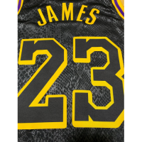 Men's Los Angeles Lakers LeBron James No.23 Black  Swingman Jersey - City  Edition