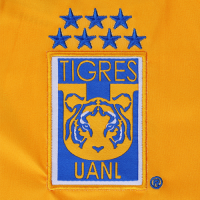 Tigres UANL Soccer Jesrey Home Replica 2020/21