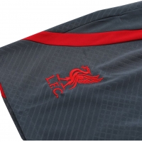 Liverpool Sleeveless Training Kit (Top+Shorts) Gray 2023/24