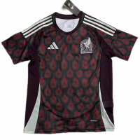 Men's Mexico Home Kit (Jersey+Shorts) Copa America 2024