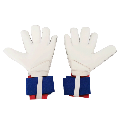 AD Blue Predator Pro Goalkeeper Gloves