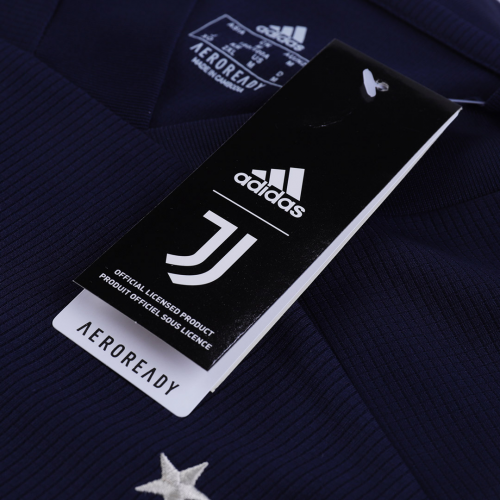 Juventus Soccer Jersey Away Replica 20/21