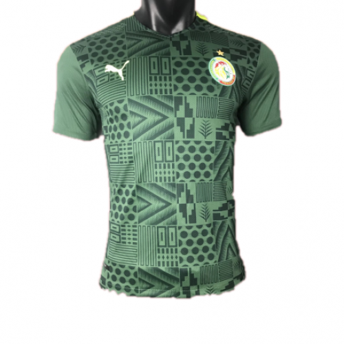 Senegal Soccer Jersey Away Player Version 2022 MineJerseys