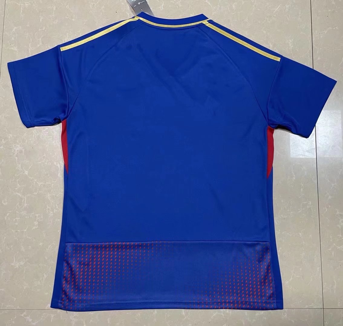 Olympique Lyonnais Soccer Jersey Fourth Away Replica 2022/23