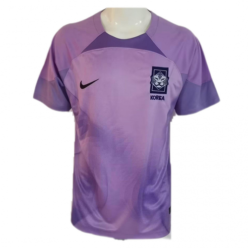 South Korea Goalkeeper Jersey Replica World Cup 2022