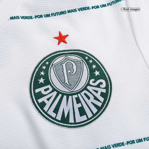 SE Palmeiras Soccer Jersey Away Replica 2022/23