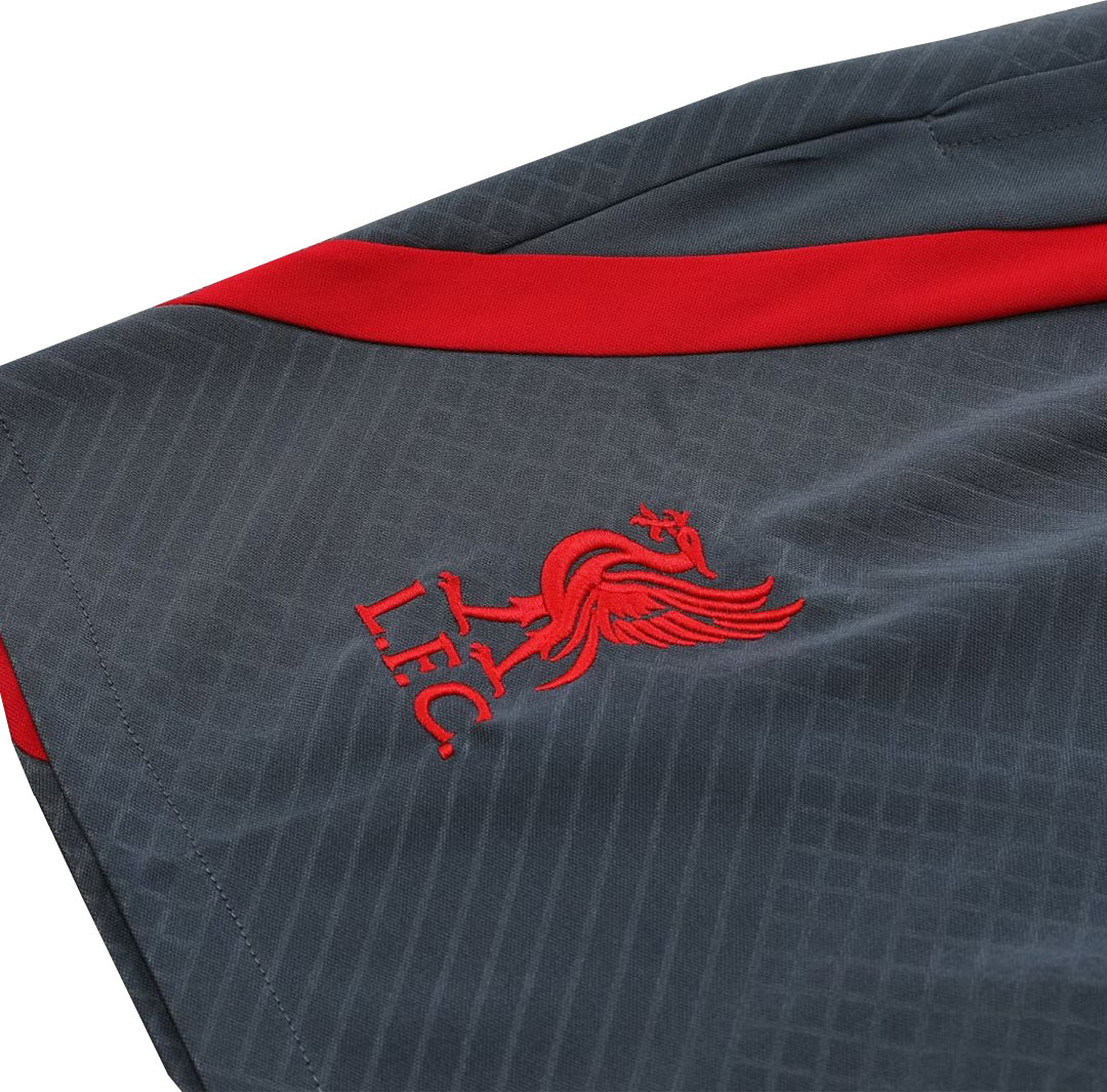 Liverpool Sleeveless Training Kit (Top+Shorts) Gray 2023/24