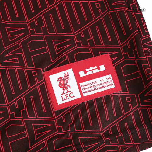 Liverpool x LeBron James Training Vest Black&Red 2022/23
