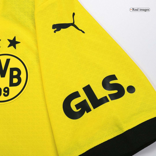 Discount Borussia Dortmund Jersey Home Player Version 2023/24