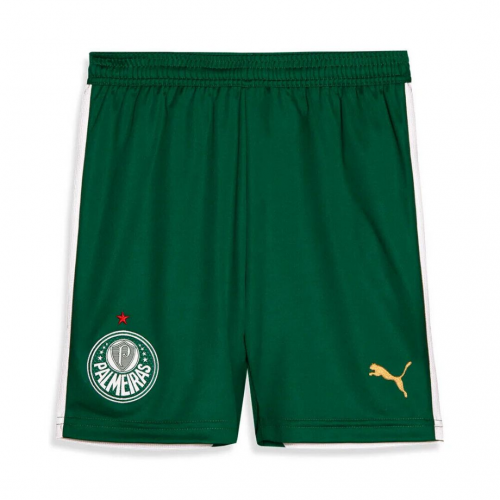 SE Palmeiras Away Shorts 2024/25
