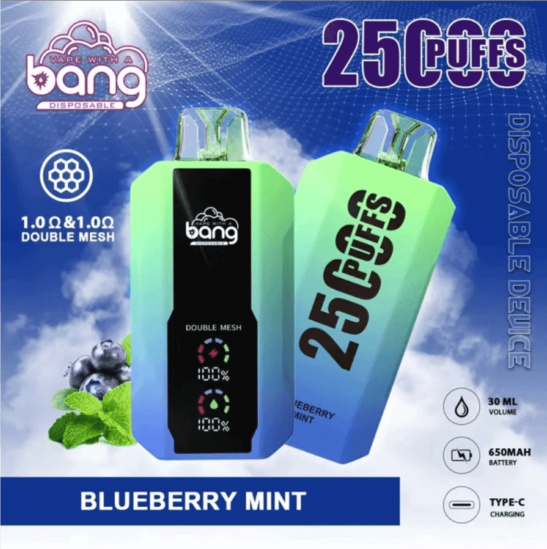 10pcs Bang B10 25K Puffs Disposable Vape